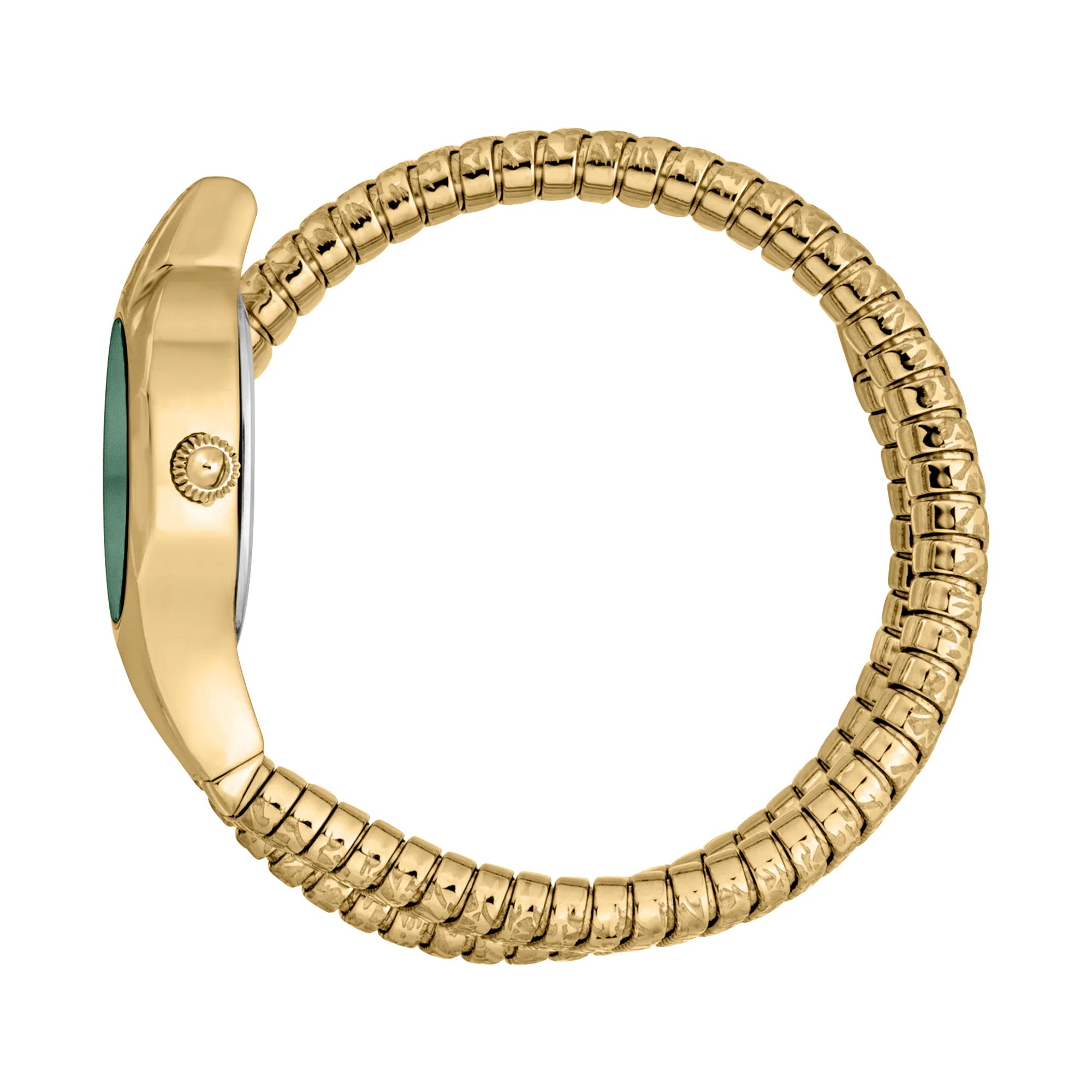 Just Cavalli Just Cavalli Signature Snake Amalfi Yellow Gold Green — immagine 3