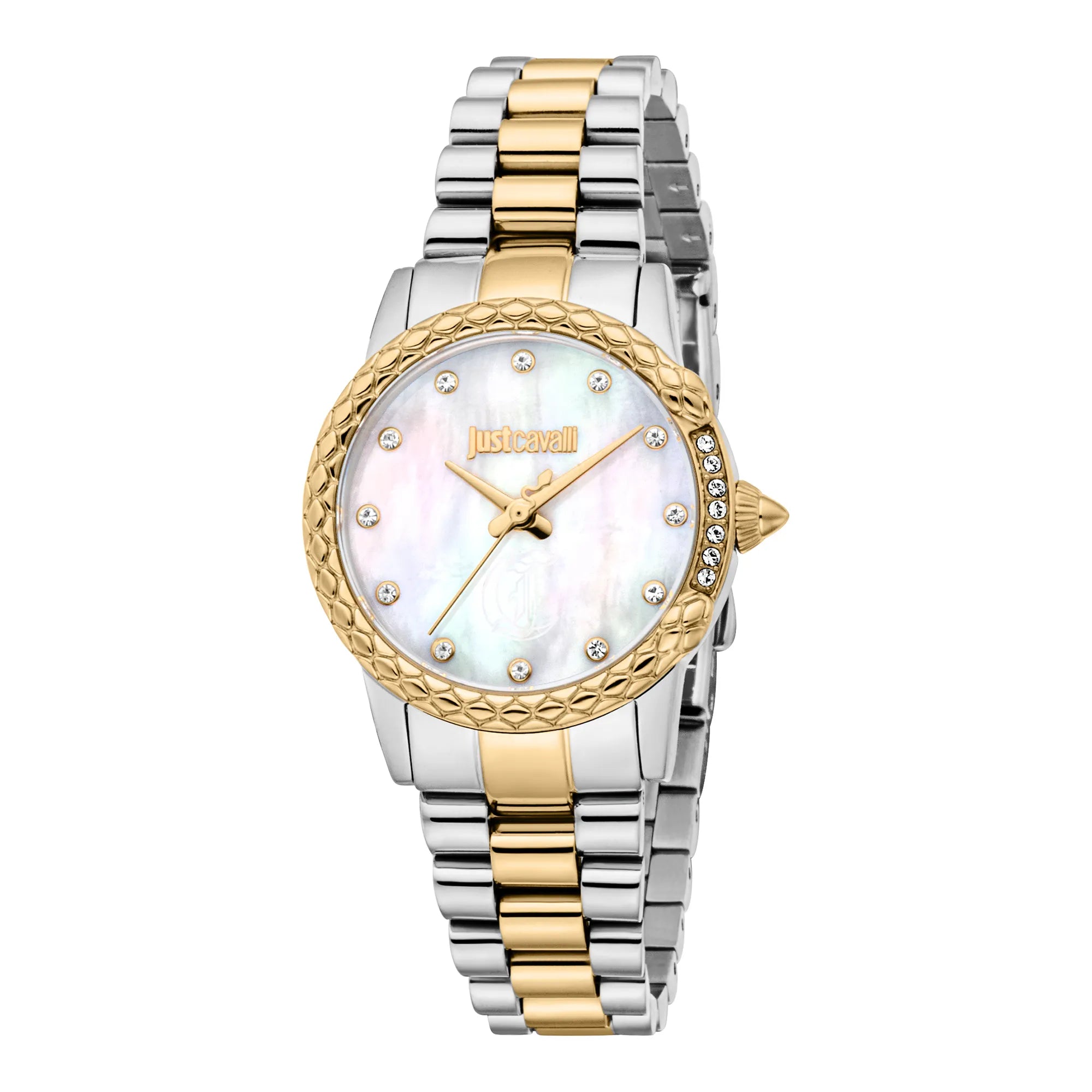 JC1L310M0095
