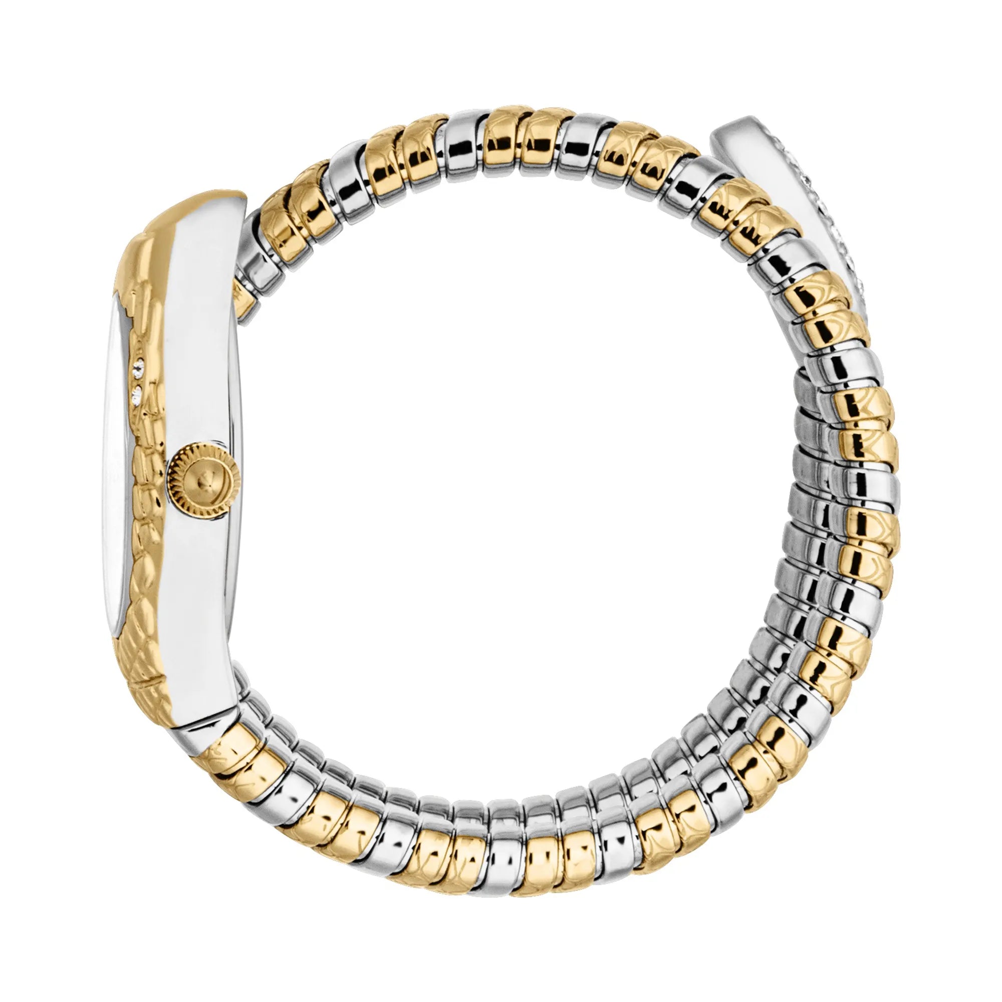 Just Cavalli Just Cavalli Signature Snake Vetra Two Tones YG — immagine 3