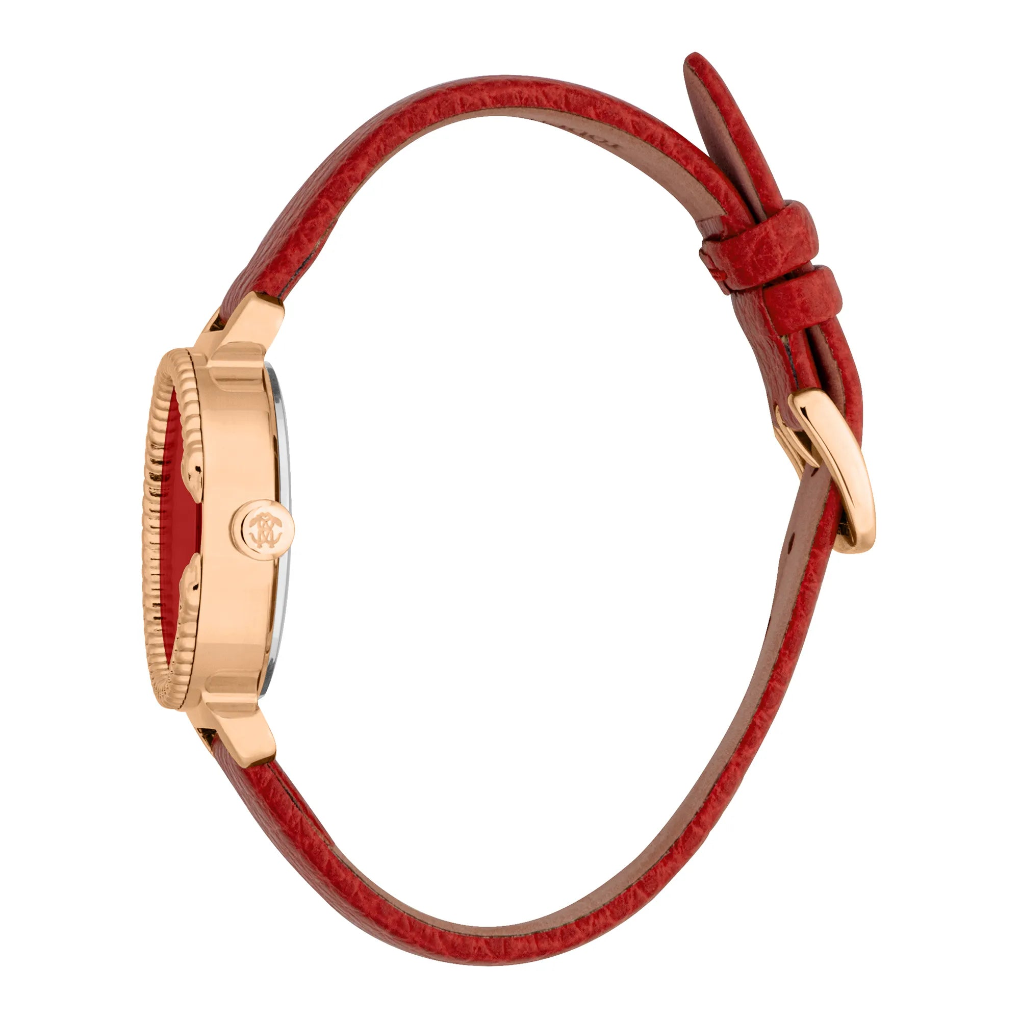 Roberto Cavalli Roberto Cavalli Lady RC5L061L1035 — immagine 3