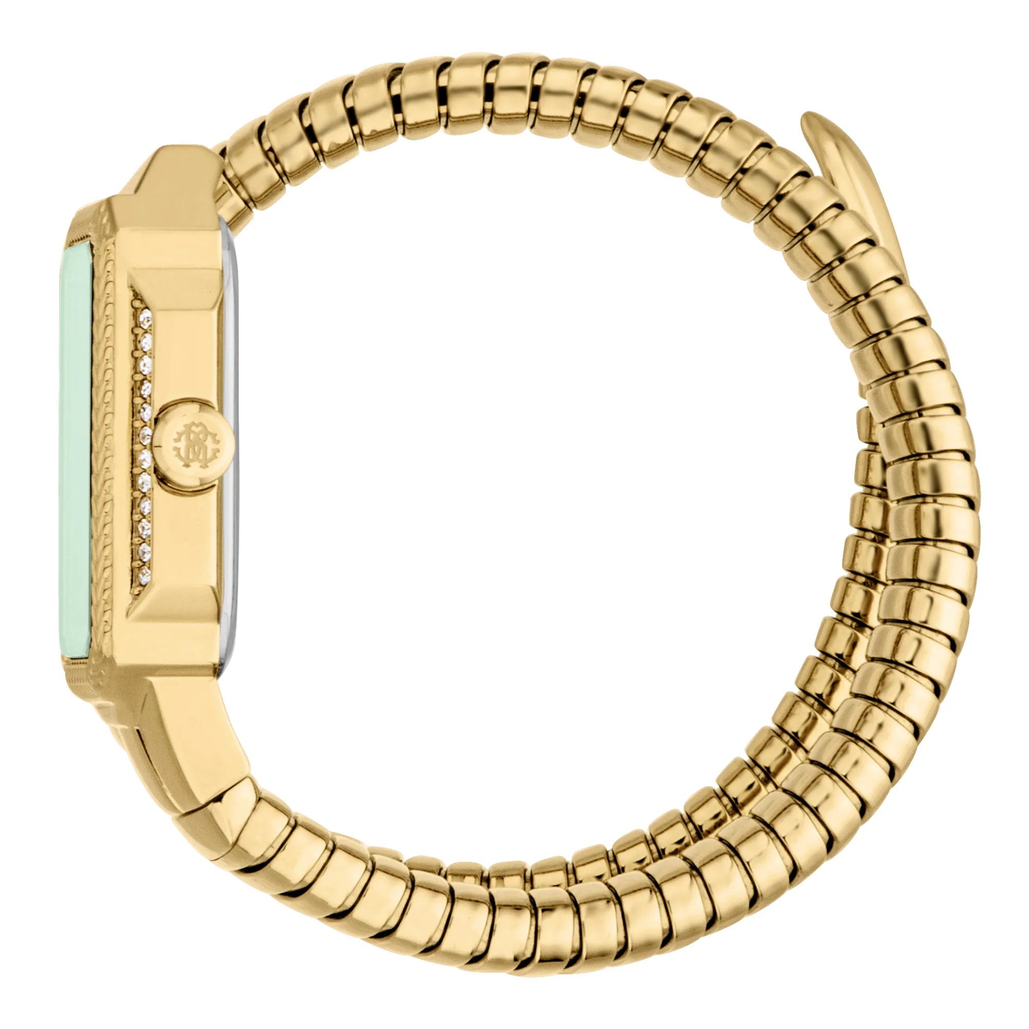 Roberto Cavalli Roberto Cavalli Lady RC5L115M0045 — immagine 3