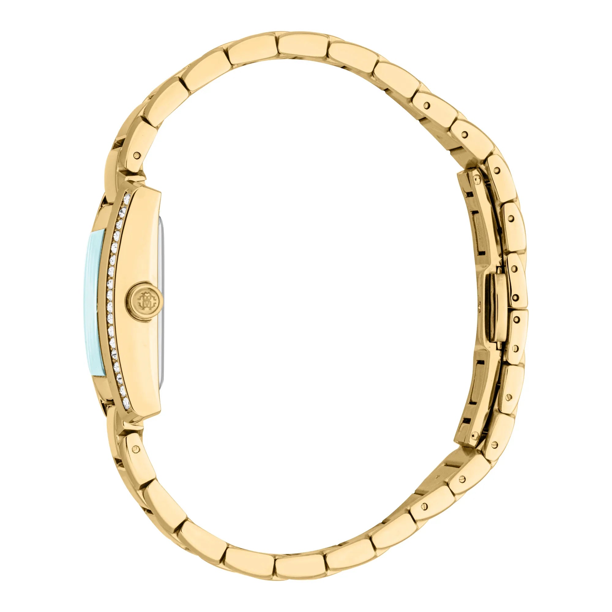 Roberto Cavalli Roberto Cavalli Lady RC5L120M0065 — immagine 3