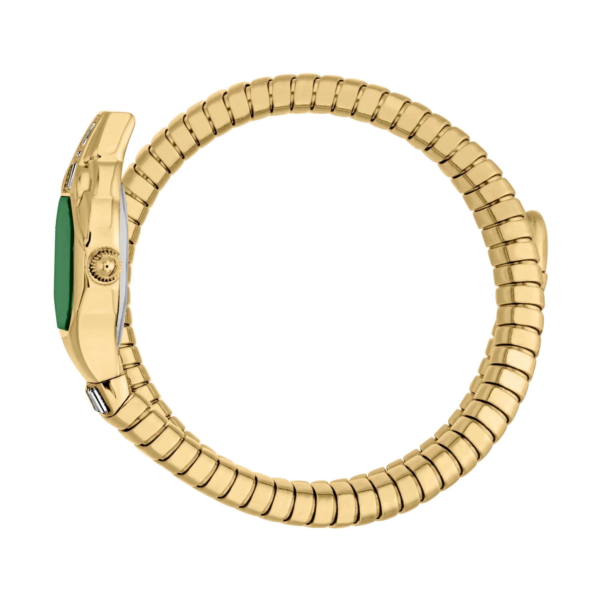 Just Cavalli Just Cavalli Signature Snake Brillante Snake Yellow Gold Green — immagine 3