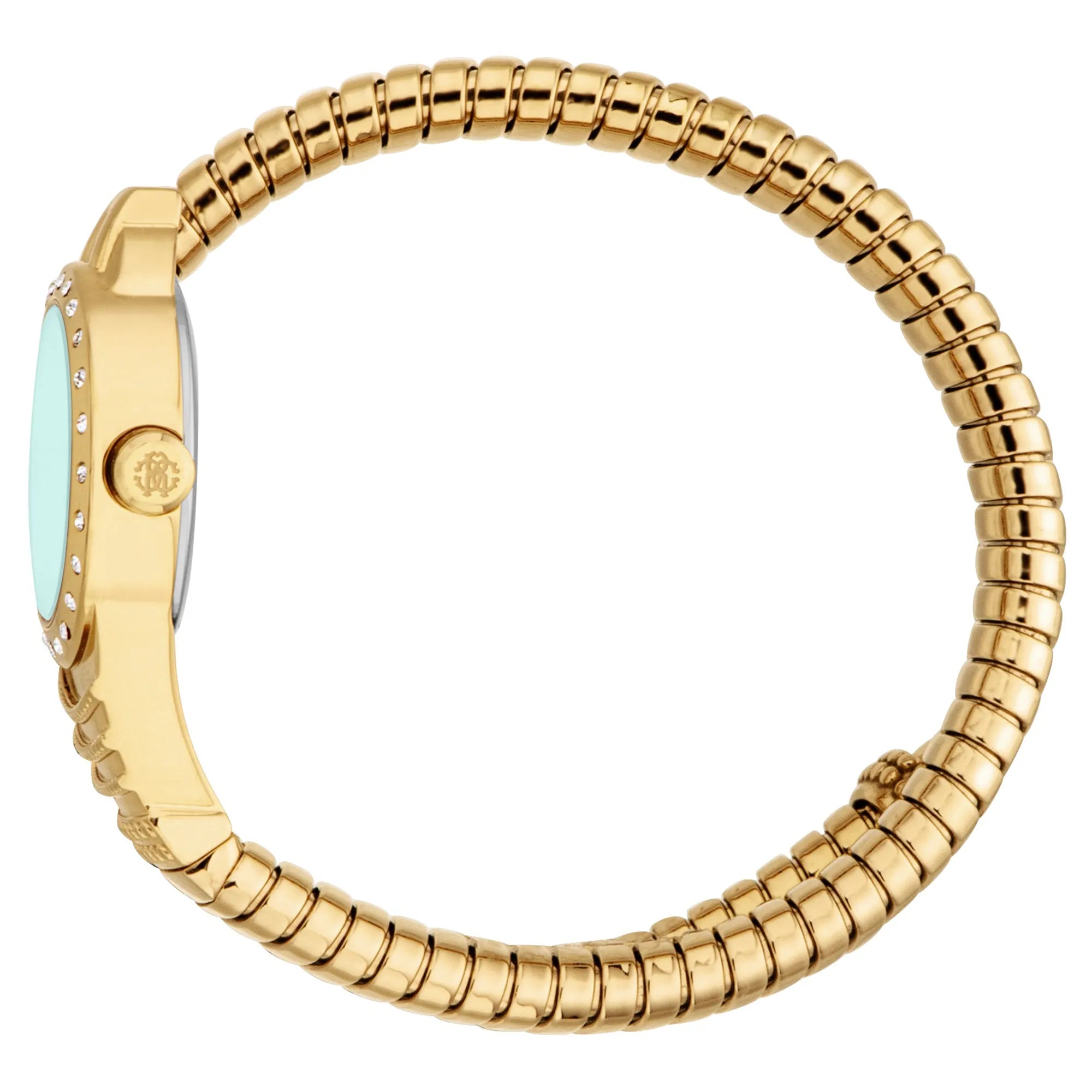 Roberto Cavalli Roberto Cavalli Lady RC5L114M0045 — immagine 3