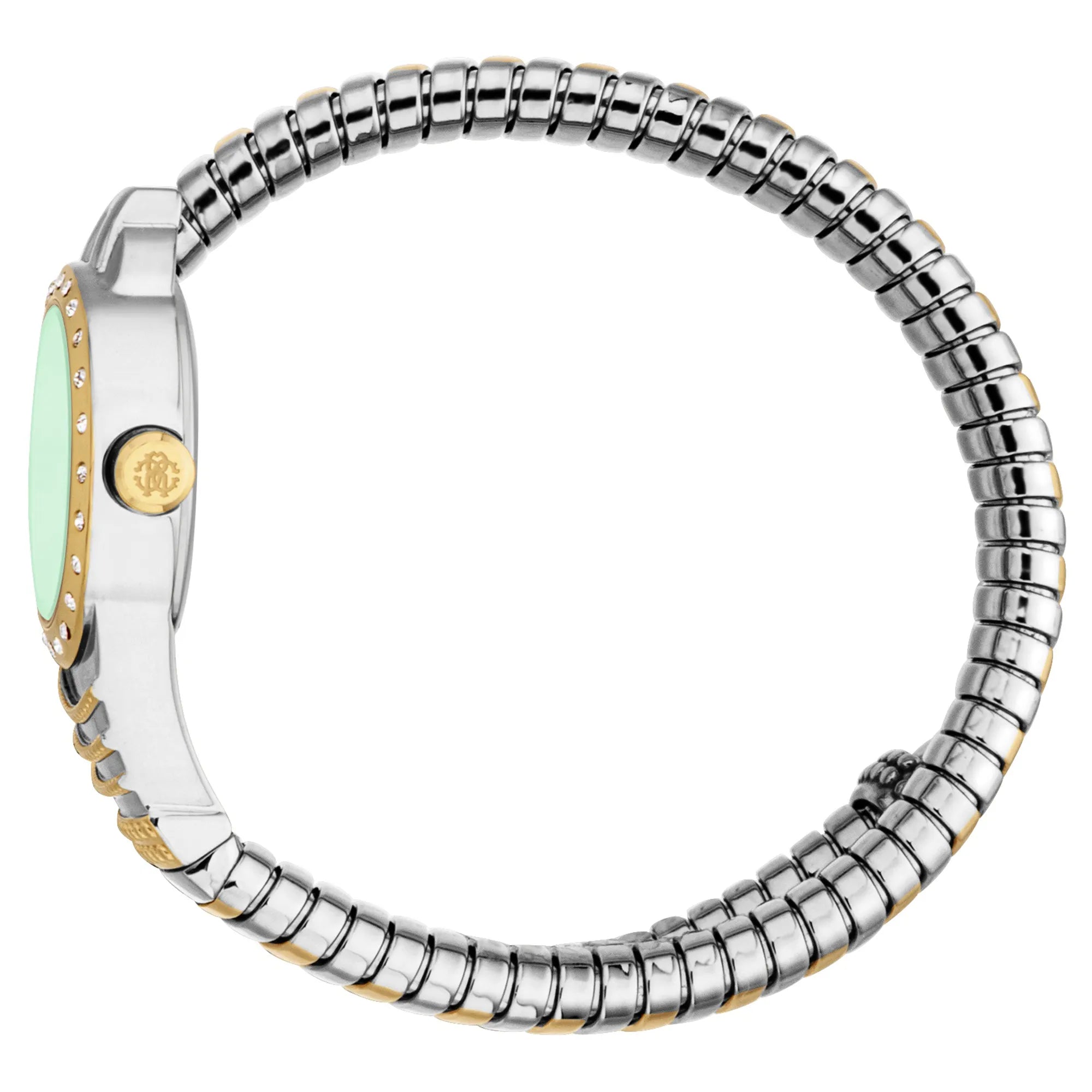 Roberto Cavalli Roberto Cavalli Lady RC5L114M0075 — immagine 3